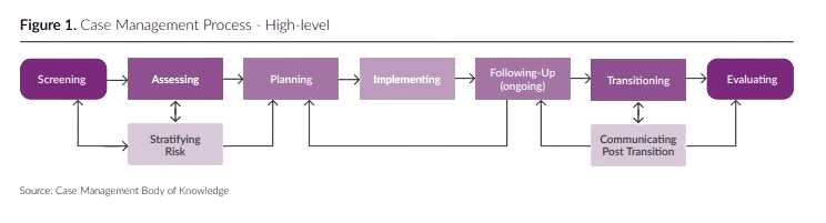 Figure 1 - case management
